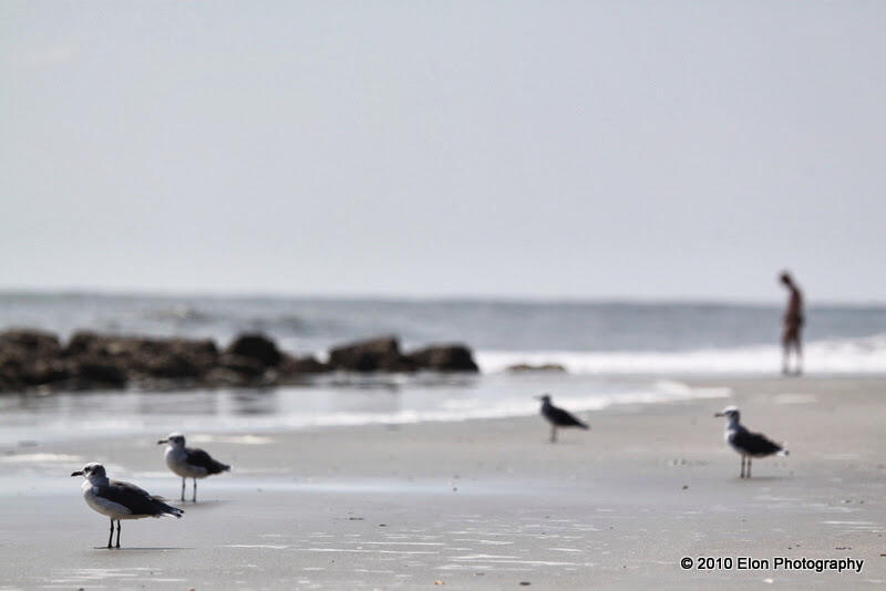 Charleston, SC
